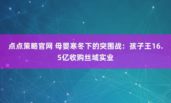 点点策略官网 母婴寒冬下的突围战：孩子王16.5亿收购丝域实业
